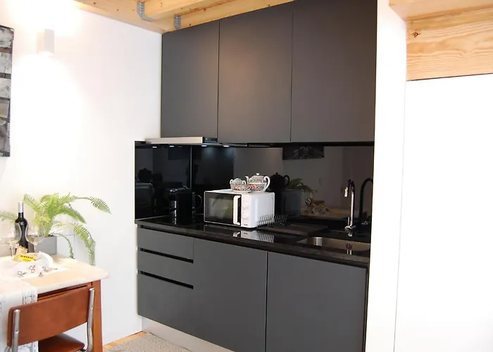 Serralves 1108 - Estudio 1 公寓 波尔图