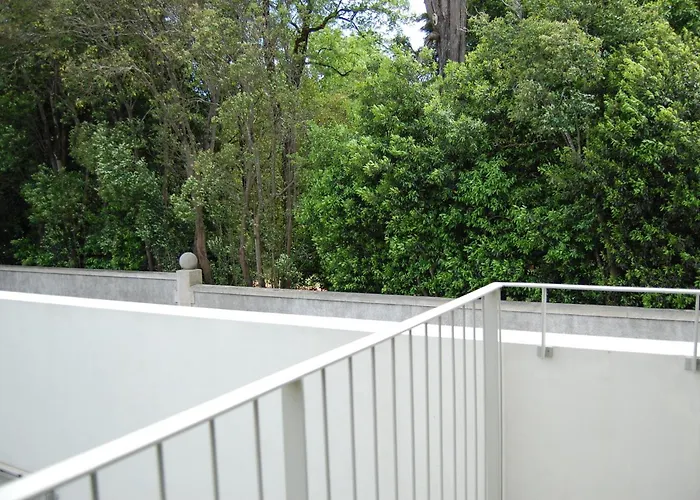 Serralves 1108 - Estudio 1 公寓 *