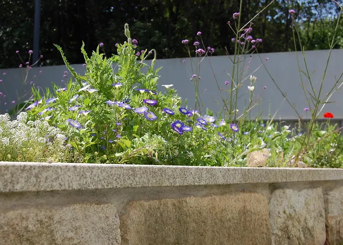 Serralves 1108 - Estudio 1 *