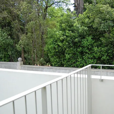 Serralves 1108 - Estudio 1 Apartment *