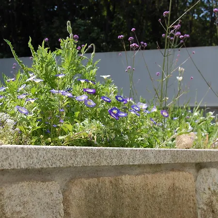 Serralves 1108 - Estudio 1 *